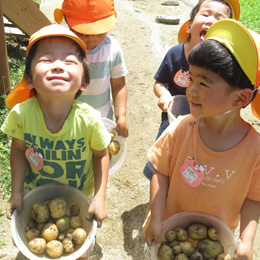 園庭の畑では、子どもたちが調理できる野菜を種や苗から育て、収穫、調理して食べます。椎茸も植菌して収穫して食べます。