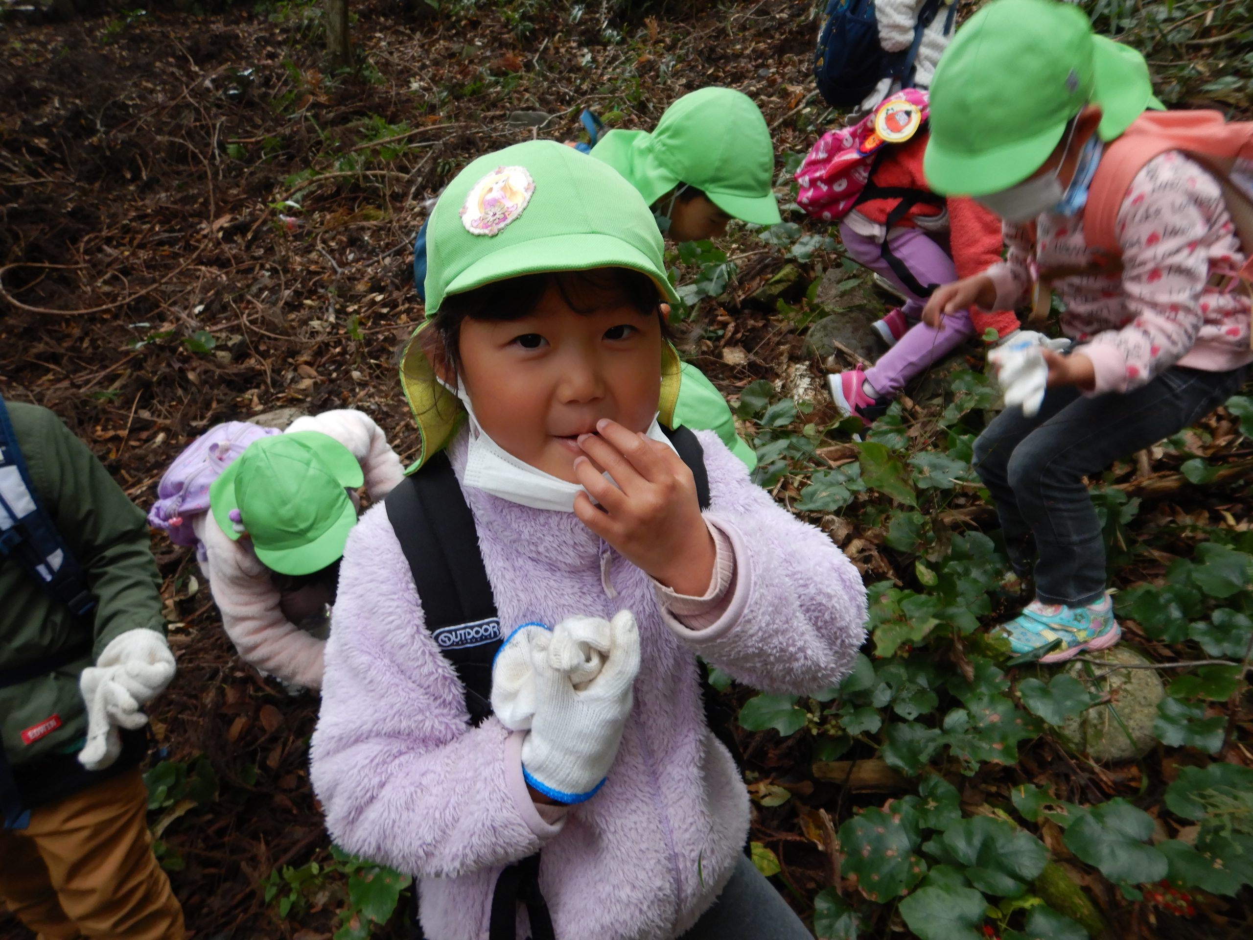 冬いちご摘みに行ったよ～?（年長組、年少組）