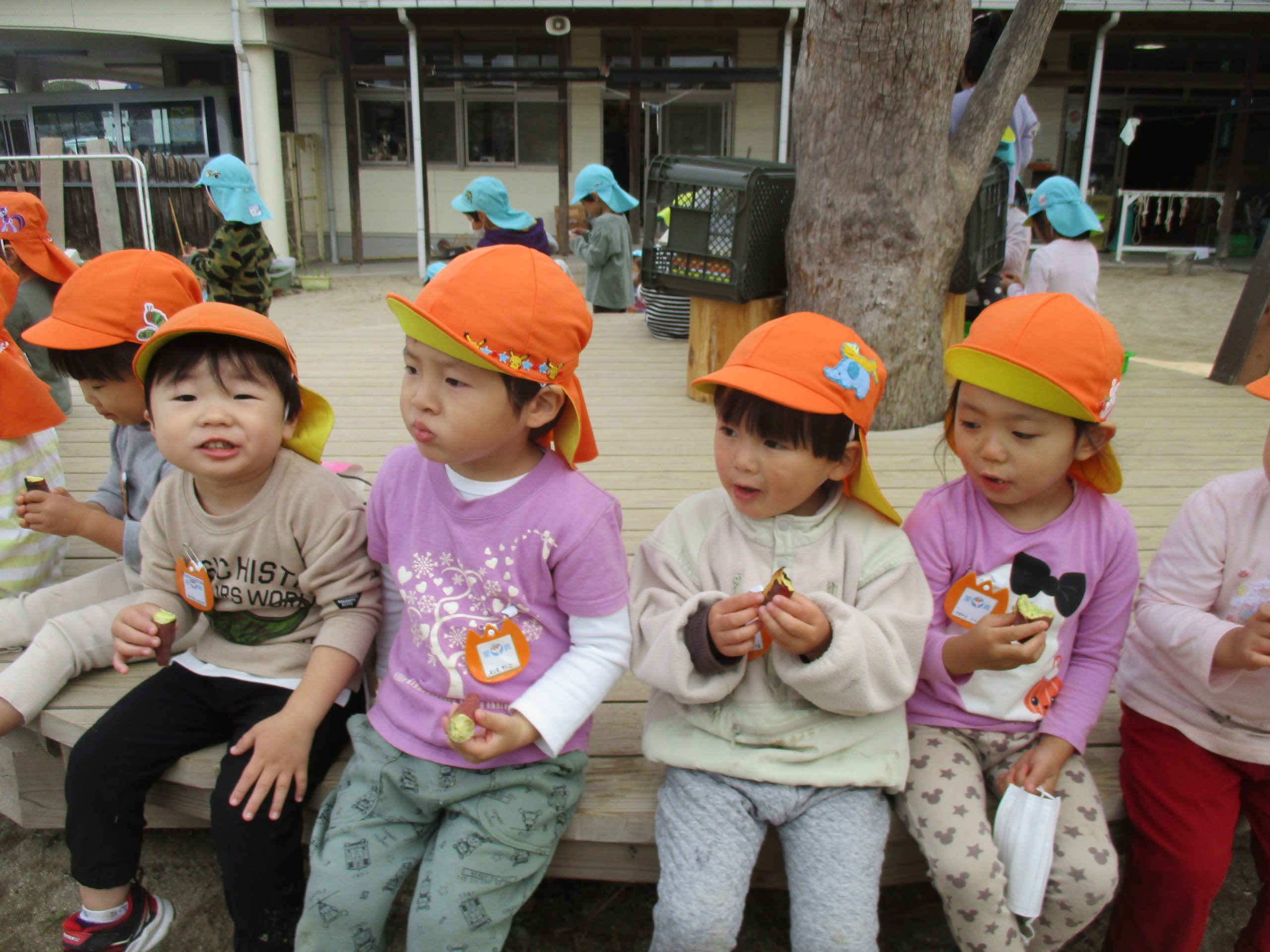 焼き芋をしたよ☆（全園児）