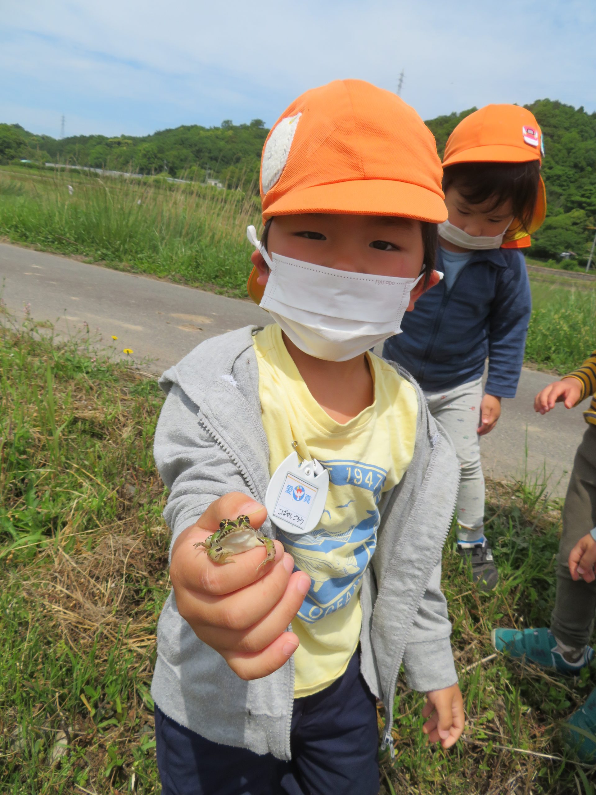 ソラマメ採りに行ったよ（年少組）