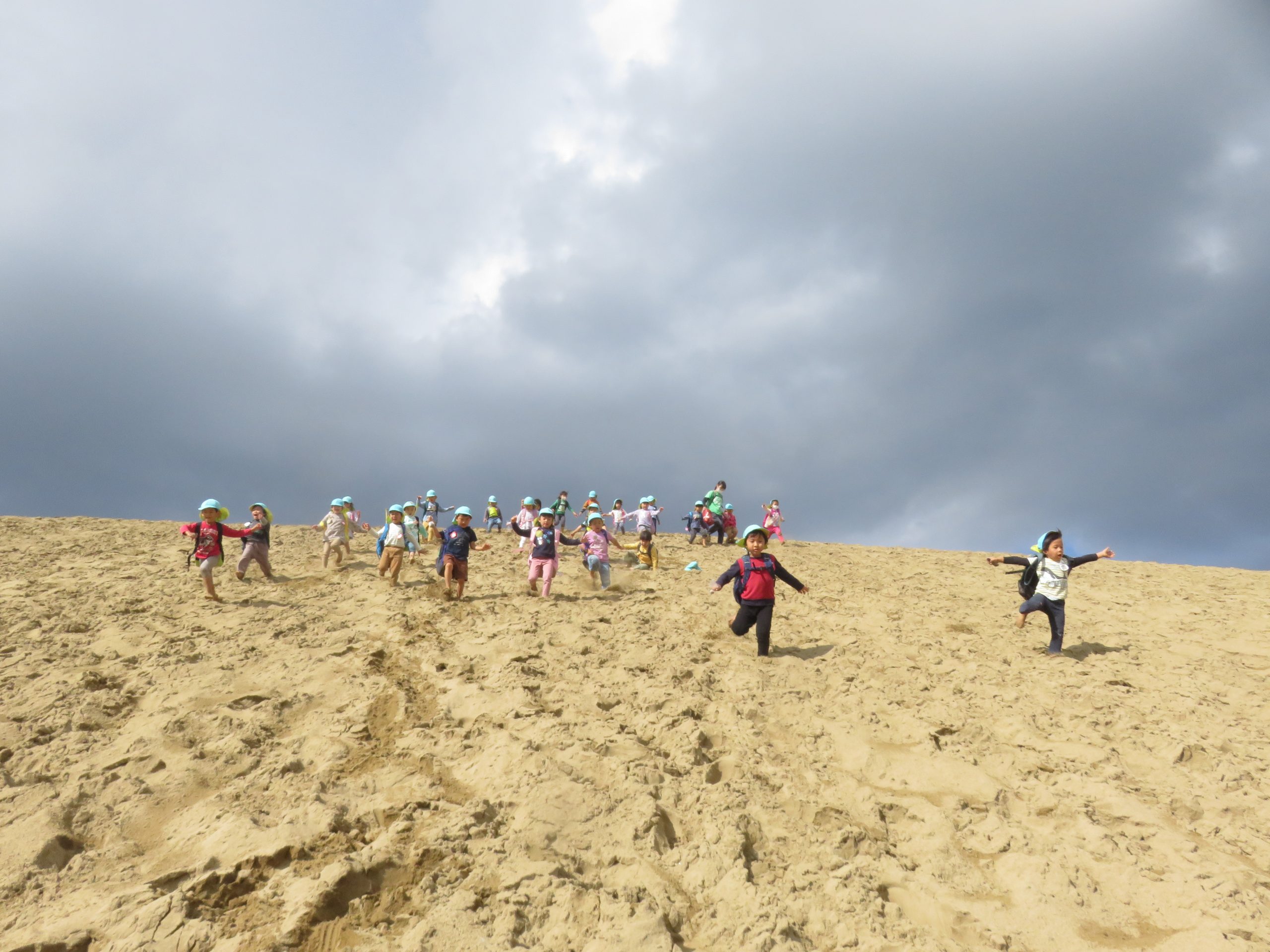 砂丘にいったよ（年中組）