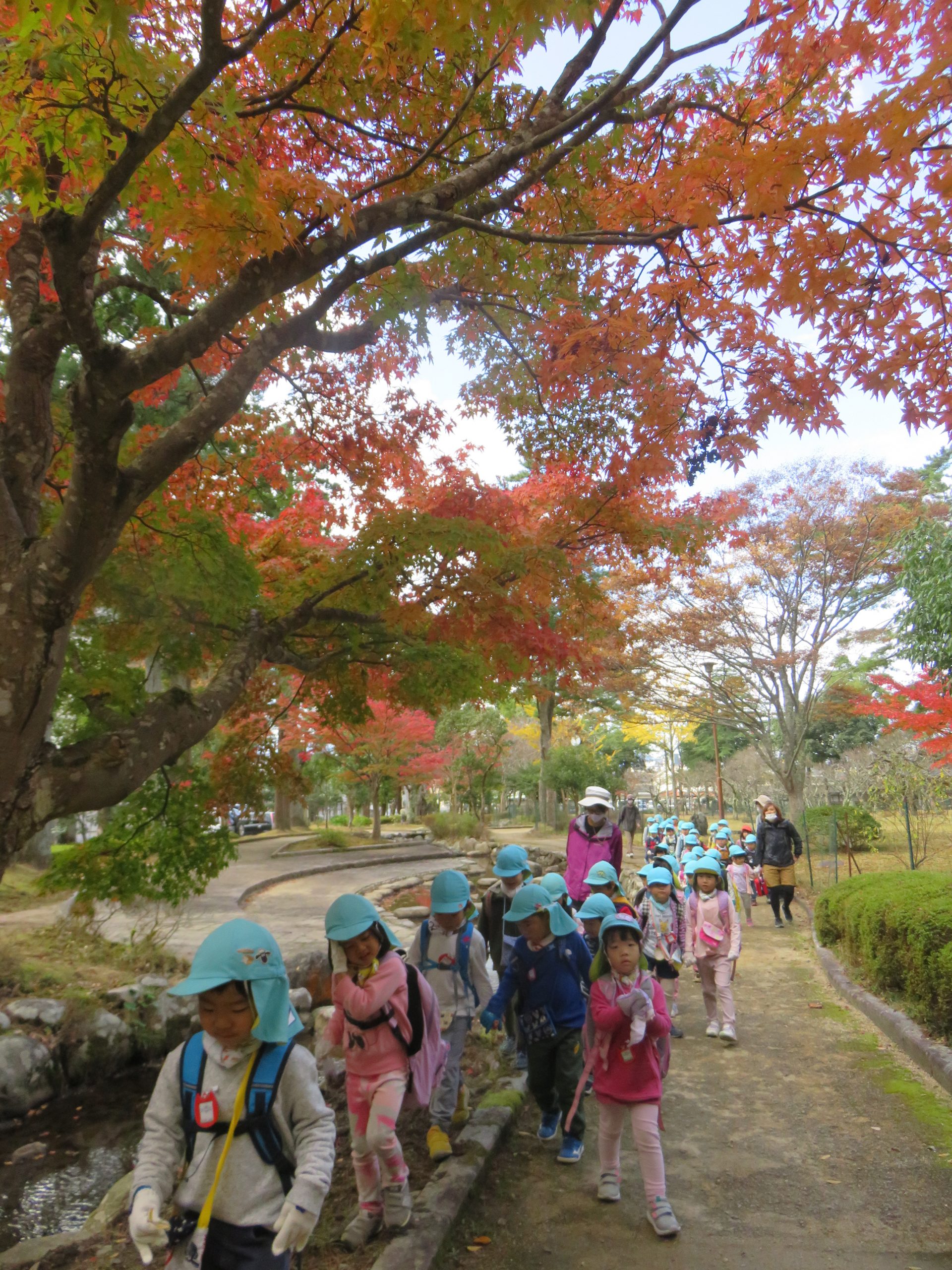おおちだに公園に行ったよ！～年中組～
