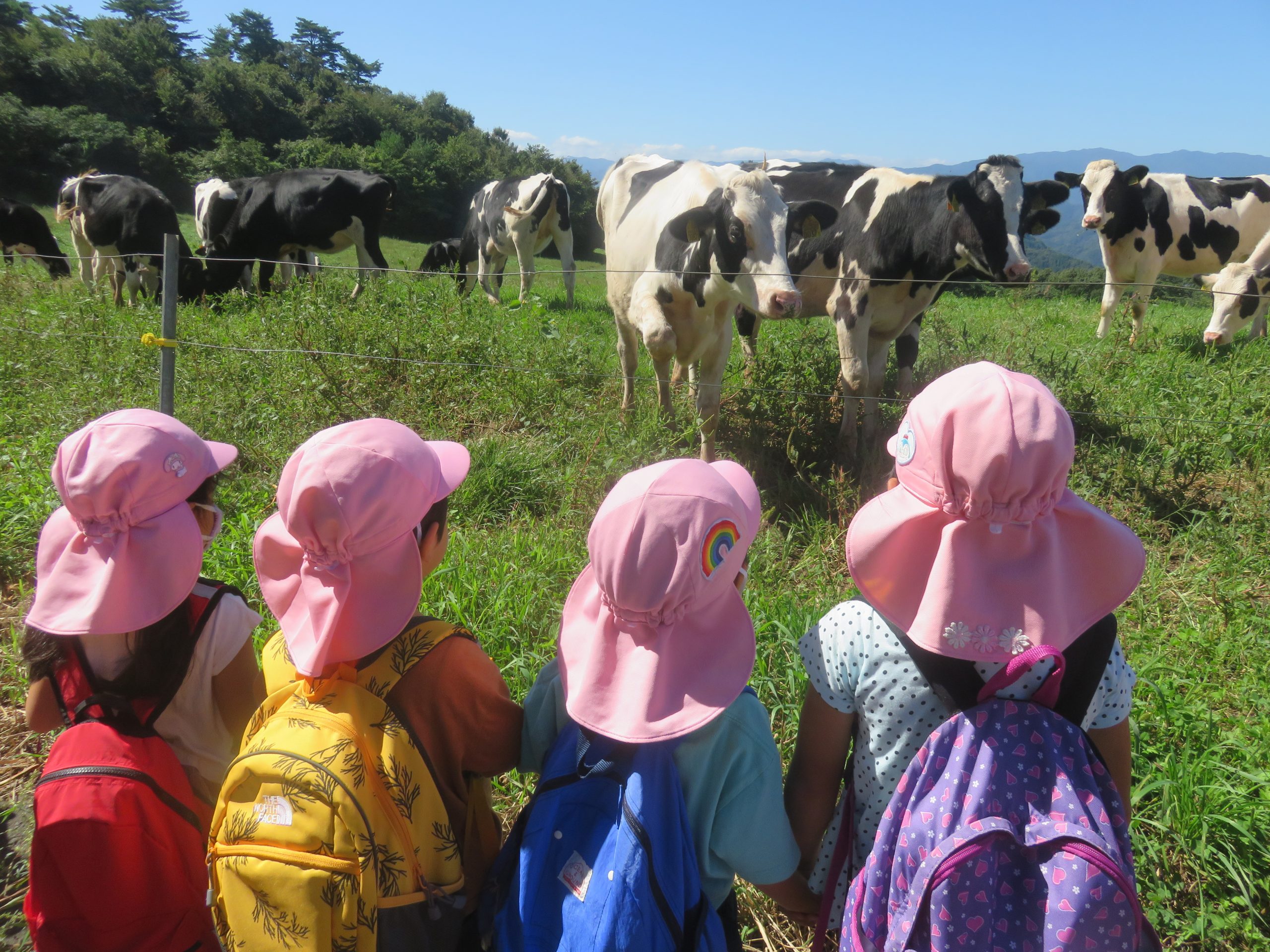 空山に行ったよ！！～年少・年中組～