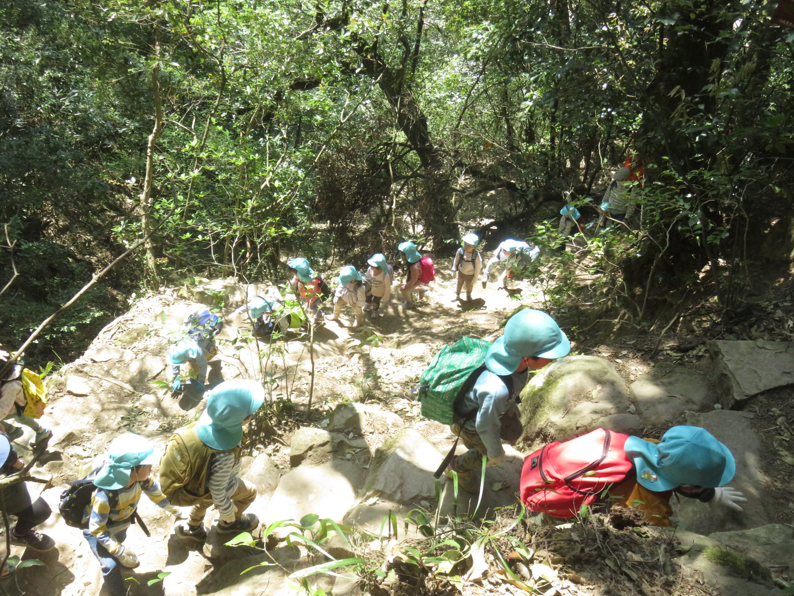 2022年度　4月　久松山登山　（年長組）