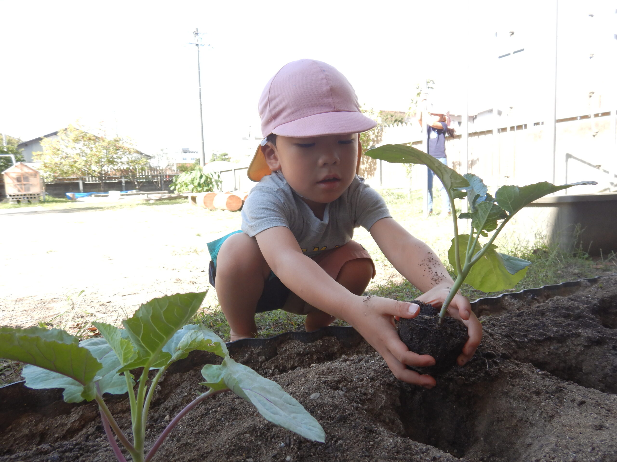 野菜たちおおきくなあれ！（年中組）