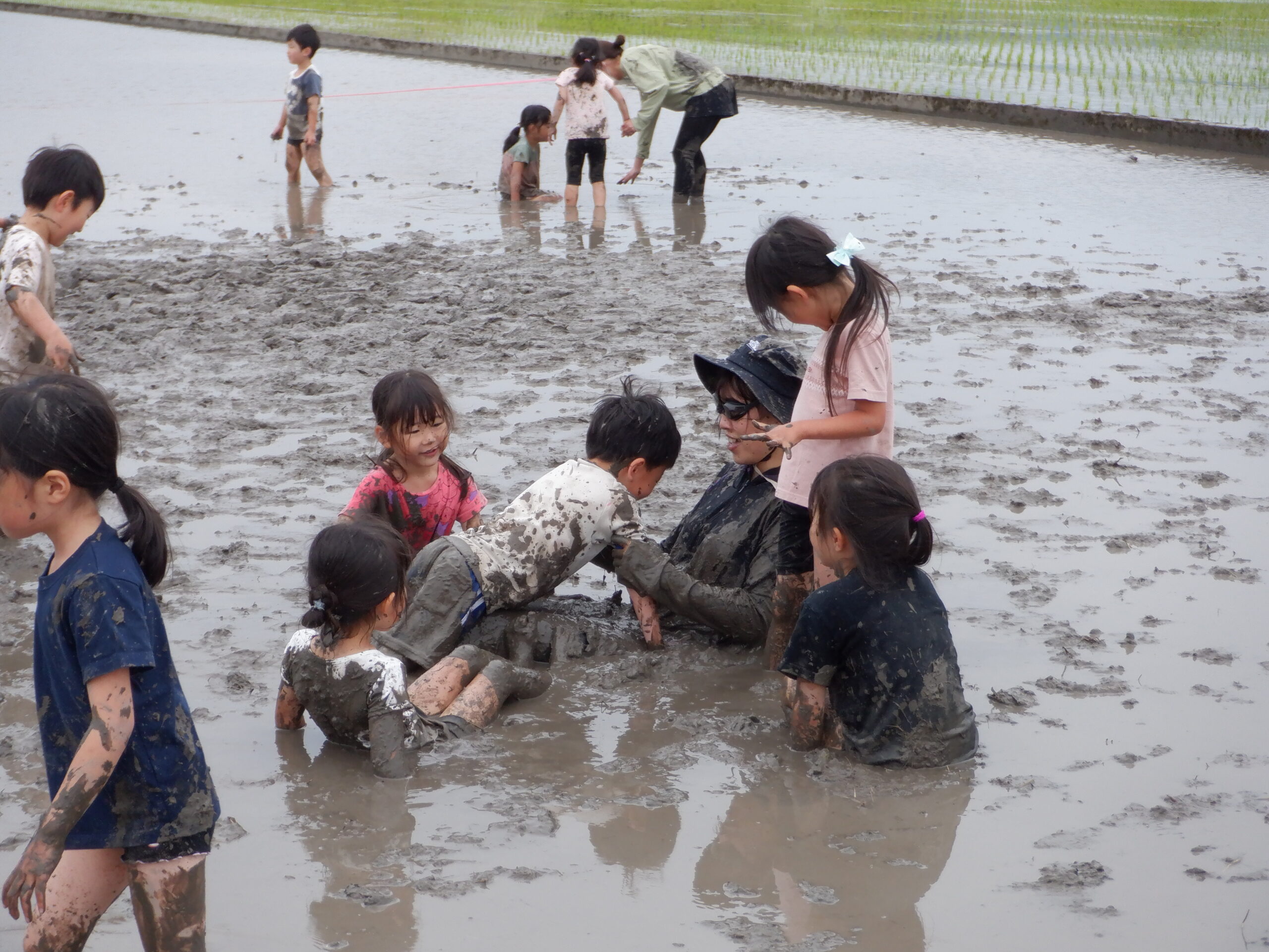 代かきに行ったよ！（年長組）