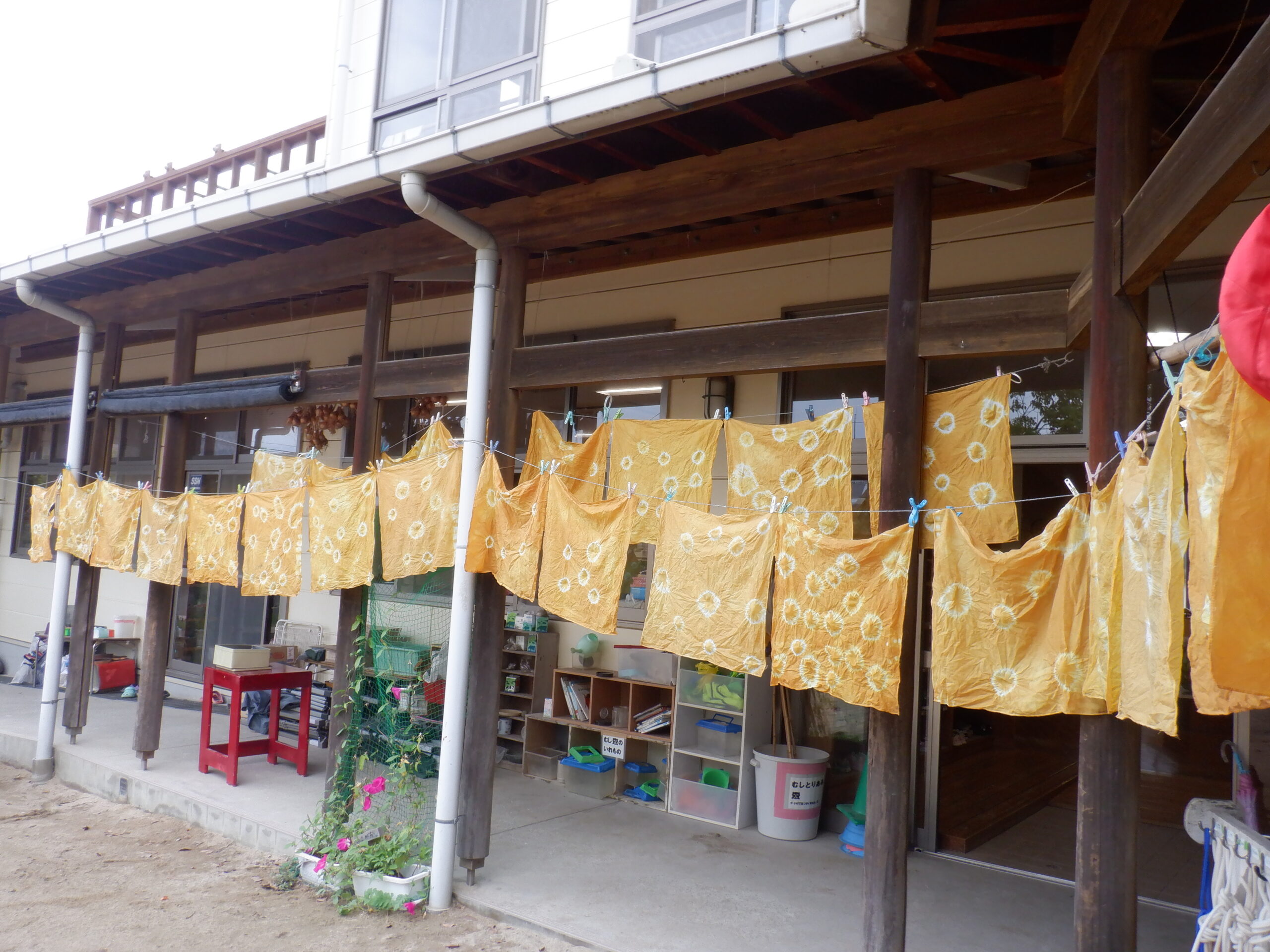 たまねぎ染めをしたよ！（年長組）