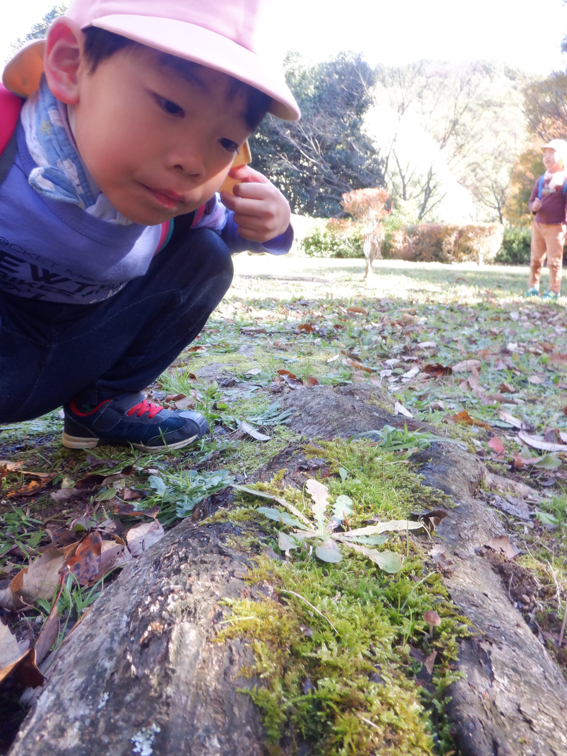 秋見つけに行ったよ！（年長・年中組）