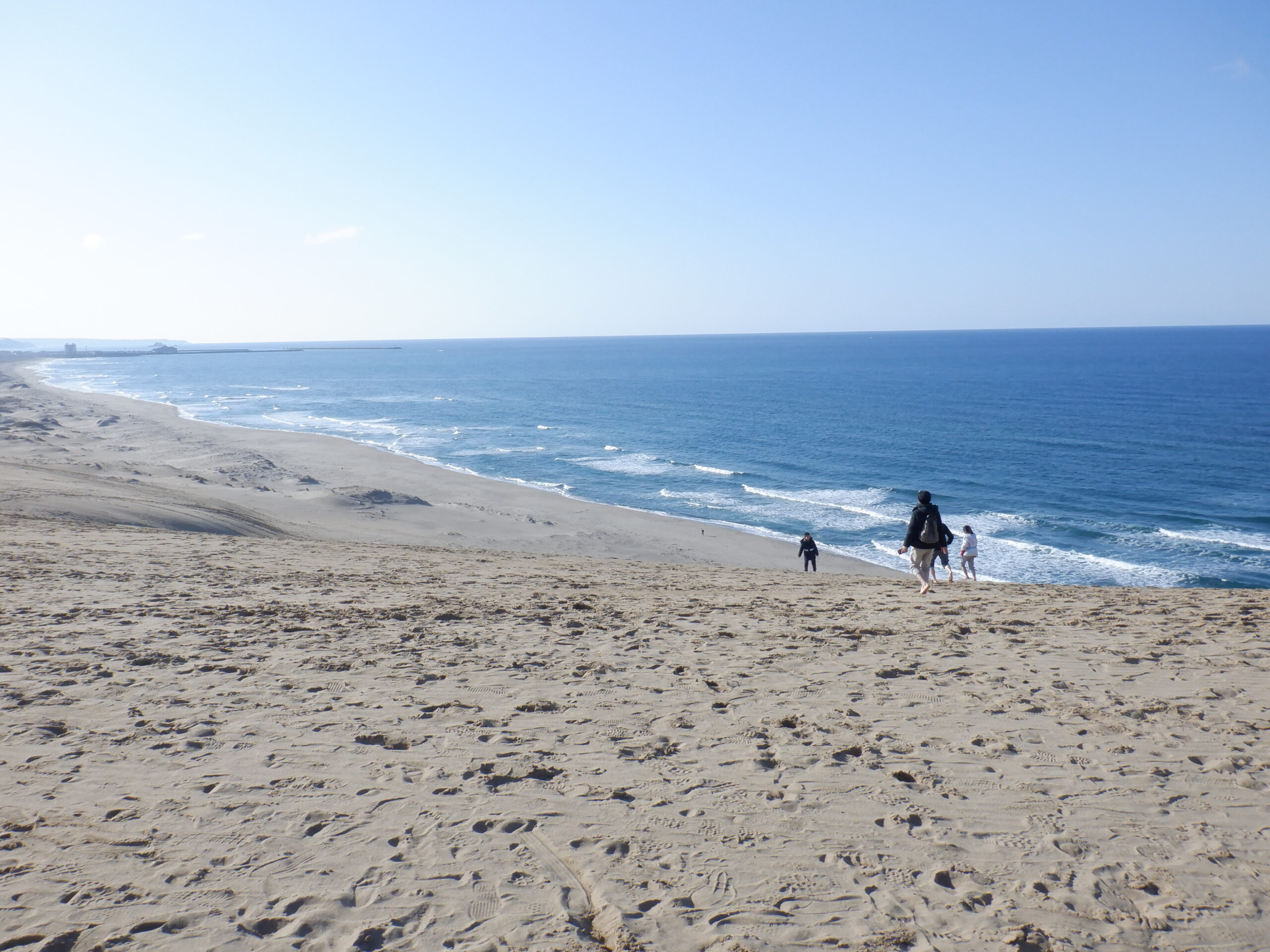 砂丘に行ったよ！（年中・年長組）