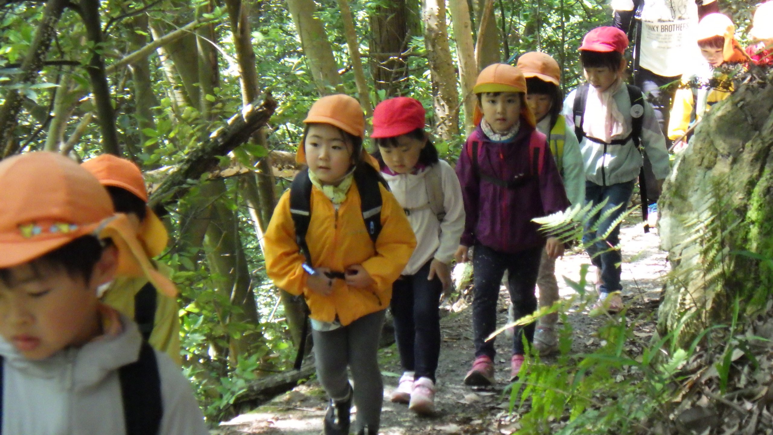 5/16(木)　みはらし峠へお出かけ♪【年長組】