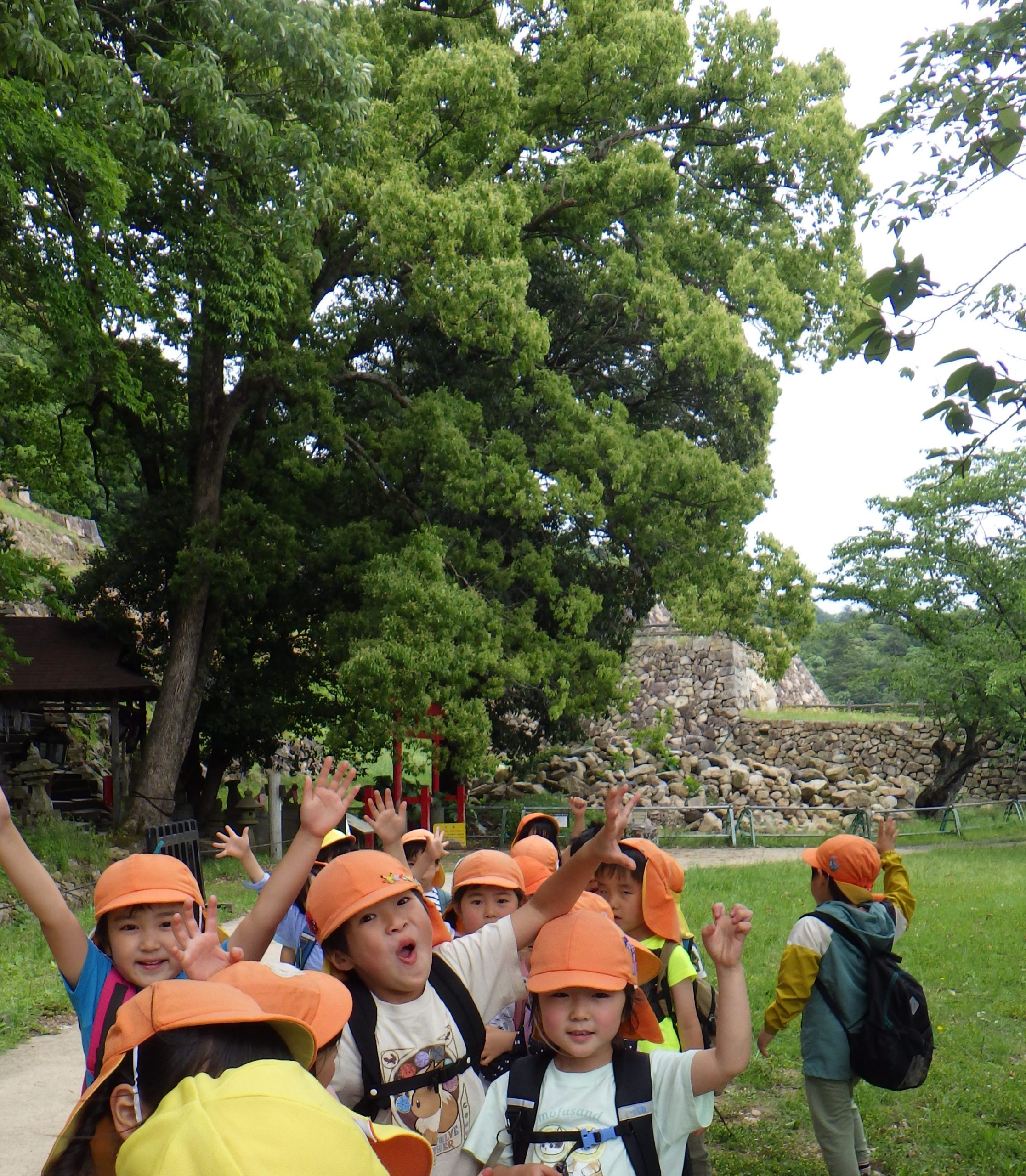 5/21（火）　久松山登山に行ってきたよ♪【年長組】